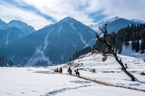 Toeristen Genieten Van Paardrijden Aru Valley Winter Scene Buurt Van — Stockfoto