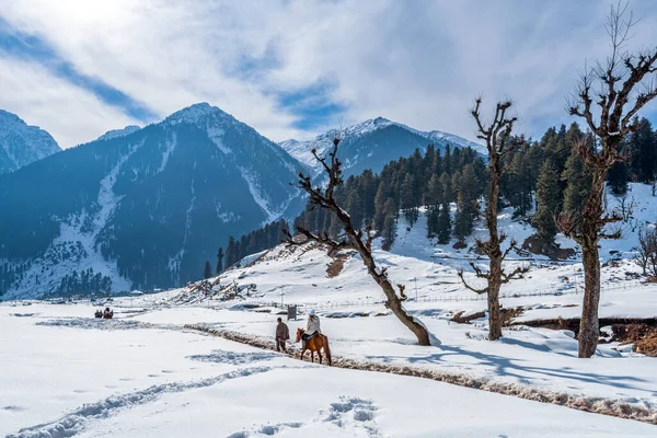 Turister Njuter Ridning Aru Valley Vintern Scenen Nära Pahalgam Kashmir — Stockfoto