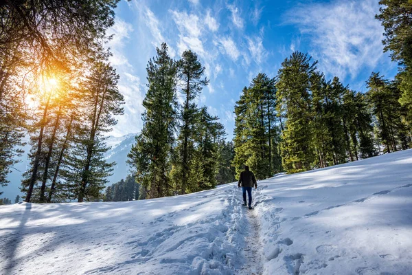 Winter Scene Aru Valley Pahalgam Kashmir India — Stock Photo, Image