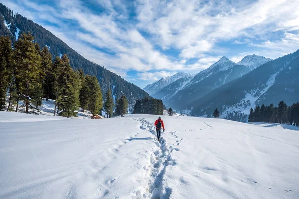 印度克什米尔Pahalgam附近Aru山谷的冬季景象 — 图库照片