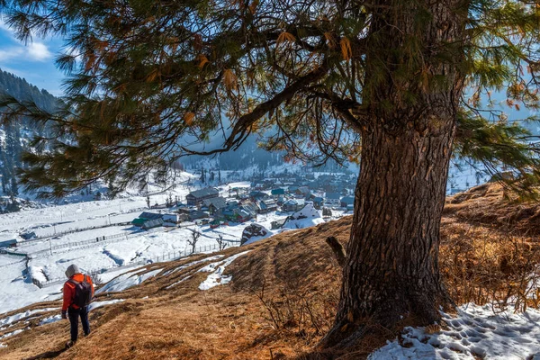Vinterscenen Byn Aru Lidder Valley Kashmir Nära Pahalgam Indien — Stockfoto