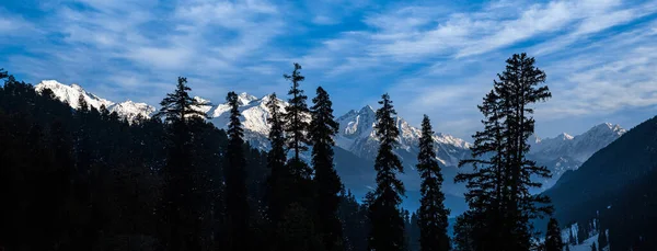 Escena Invernal Valle Aru Cerca Pahalgam Cachemira India — Foto de Stock