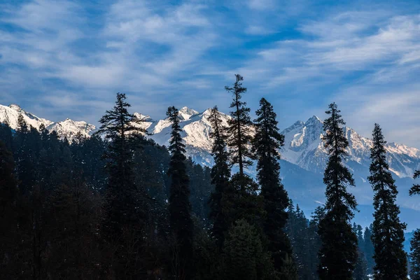Pahalgam Kashmir Hindistan Yakınlarındaki Aru Vadisi Ndeki Kış Sahnesi — Stok fotoğraf