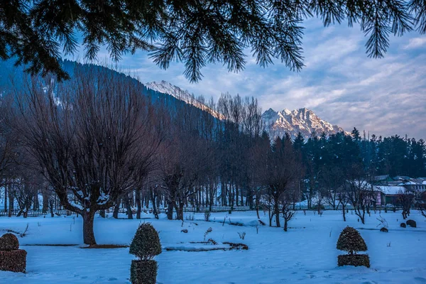 Vacker Utsikt Över Pahalgam Vintersäsongen Omgiven Snö Fryst Himalaya Glaciär — Stockfoto