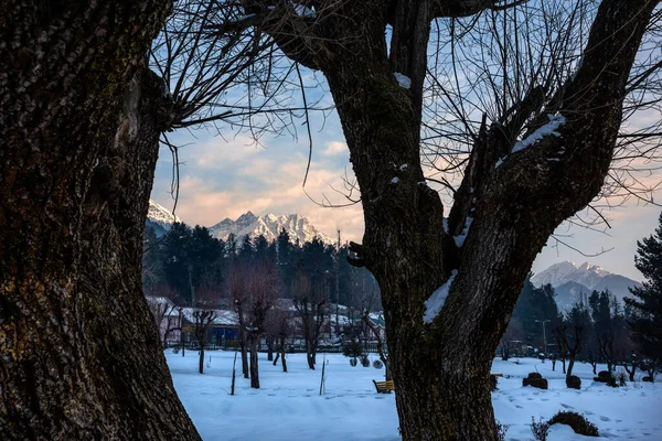 Piękny Widok Pahalgam Sezonie Zimowym Otoczony Śniegiem Mrożone Himalaje Góry — Zdjęcie stockowe