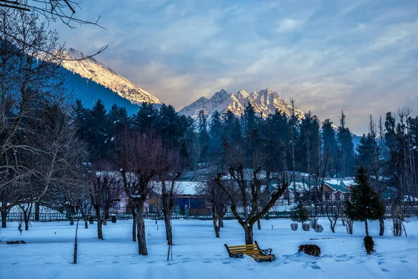 冬季的帕哈甘美丽景色 四周环绕着冰雪覆盖的喜马拉雅山 青松和松树线森林景观 — 图库照片