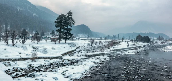 Прекрасный Вид Пахальгам Зимний Сезон Окружении Замерзших Гималайских Ледников Зеленых — стоковое фото