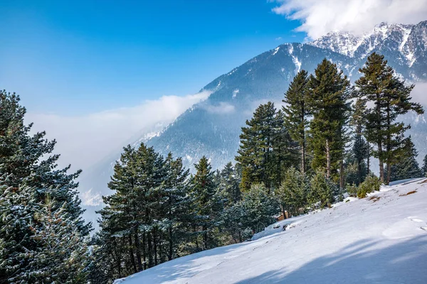 Vacker Utsikt Över Pahalgam Dalen Pahalgam Kashmir Indien — Stockfoto