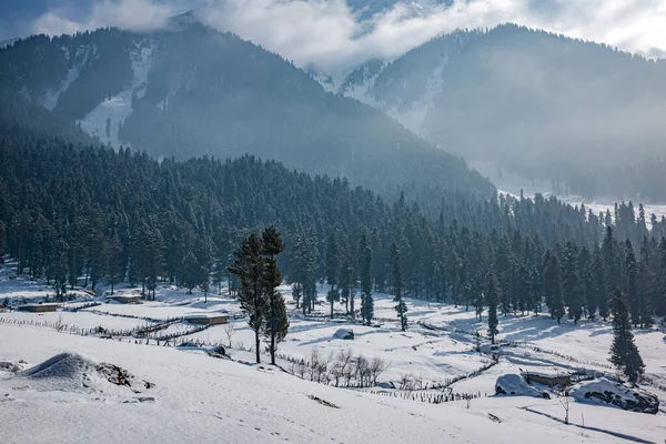 Hermosa Vista Del Valle Pahalgam Pahalgam Cachemira India — Foto de Stock