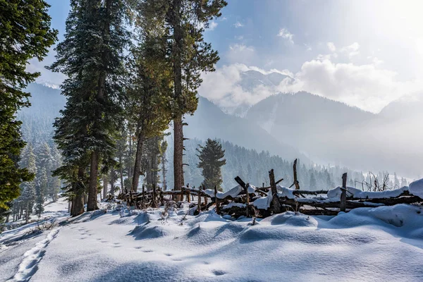 Hermosa Vista Del Valle Pahalgam Pahalgam Cachemira India — Foto de Stock