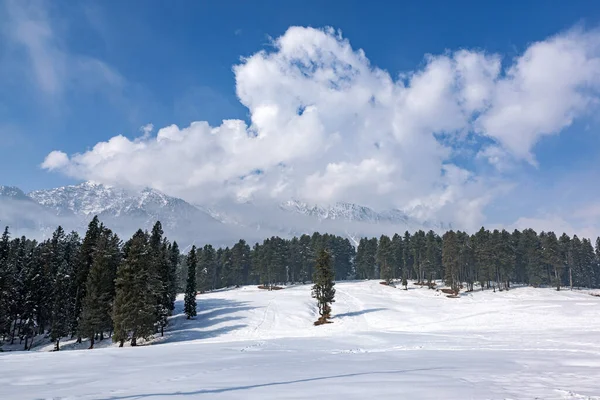 Vackert Vinterlandskap Baisaran Valley Pahalgam Kashmir — Stockfoto