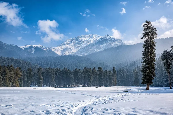 Прекрасный Зимний Пейзаж Долины Байсаран Пахальгам Кашмир — стоковое фото