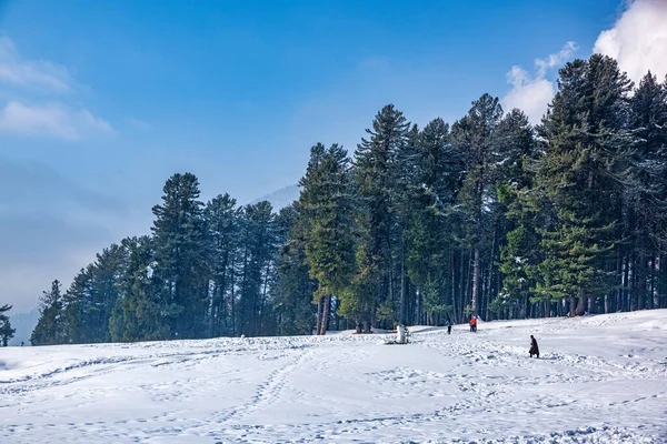 克什米尔Pahalgam Quot Baisaran Quot 山谷美丽的冬季风景 — 图库照片