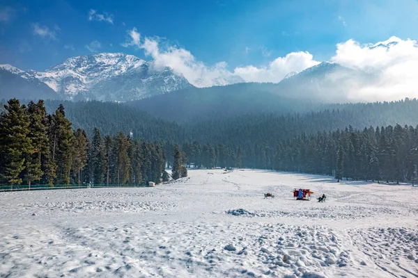 Hermoso Paisaje Invierno Baisaran Valle Pahalgam Cachemira — Foto de Stock