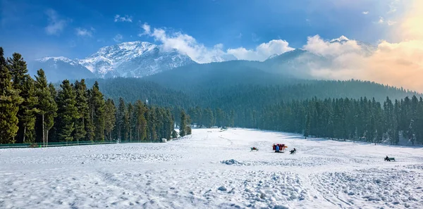 Прекрасный Зимний Пейзаж Долины Байсаран Пахальгам Кашмир — стоковое фото