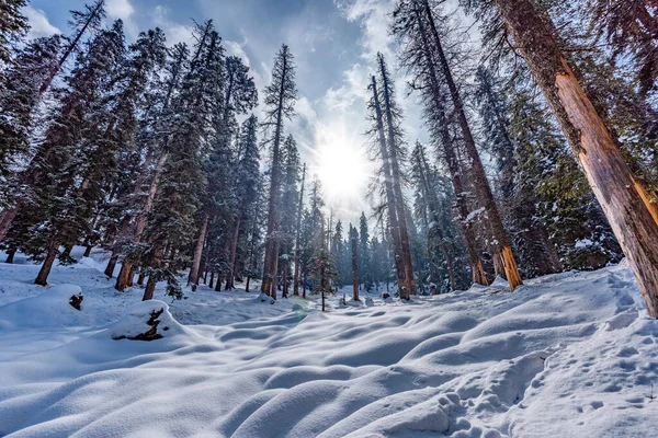 冬季的帕哈甘美丽景色 四周环绕着冰雪覆盖的喜马拉雅山 青松和松树线森林景观 — 图库照片