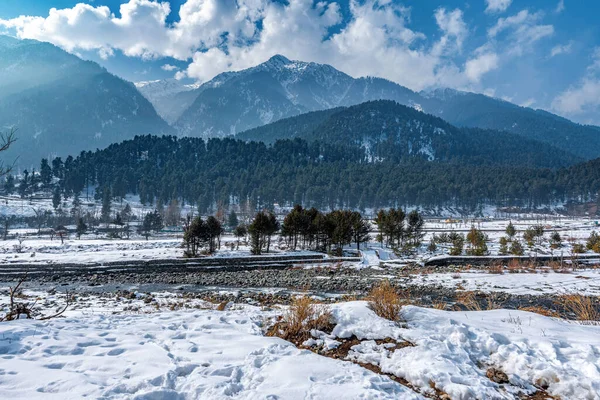 Kış mevsiminde Pahalgam 'ın güzel manzarası. Etrafı donmuş Himalayalar, buzullar, yeşil köknar ve çam ağaçları ve orman manzaralarıyla çevrili.