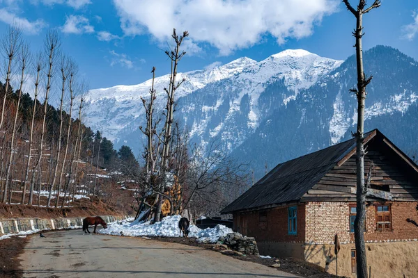 Vacker Utsikt Över Landskapet Kashmir Dalen Och Byn — Stockfoto