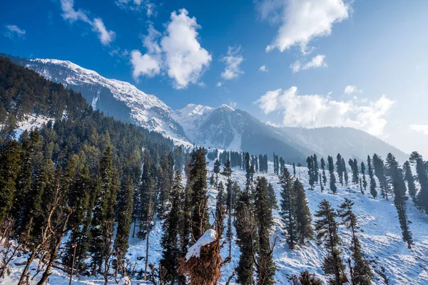 Kışın Kaşmir Dağlarının Manzarası Pahalgam Kaşmir Hindistan Yakınlarında — Stok fotoğraf