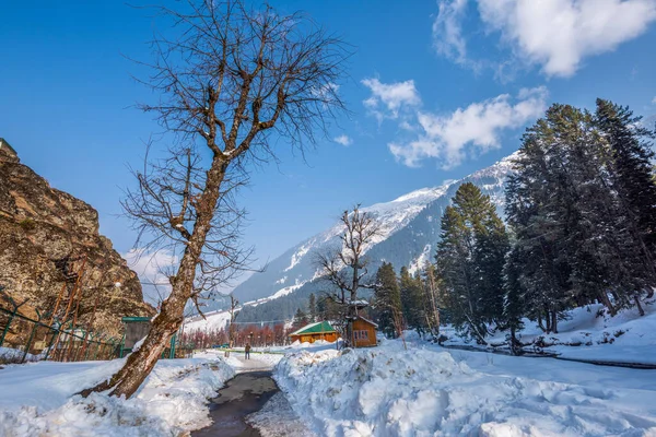 Utsikt Över Betab Valley Vintersäsongen Nära Pahalgam Kashmir Indien — Stockfoto