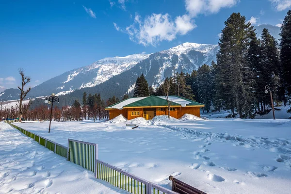 Pemandangan Lembah Betab Musim Dingin Dekat Pahalgam Kashmir India — Stok Foto