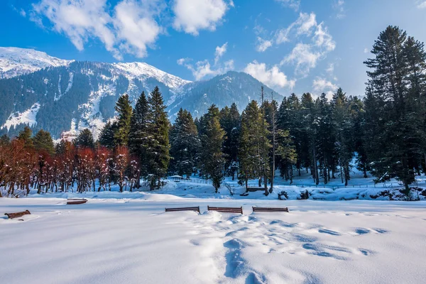 Utsikt Över Betab Valley Vintersäsongen Nära Pahalgam Kashmir Indien — Stockfoto