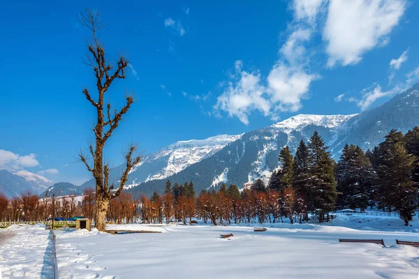 Вид Долину Бетаб Зимний Сезон Недалеко Пахалгама Кашмир Индия — стоковое фото