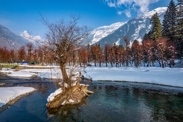 Utsikt Över Betab Valley Vintersäsongen Nära Pahalgam Kashmir Indien — Stockfoto