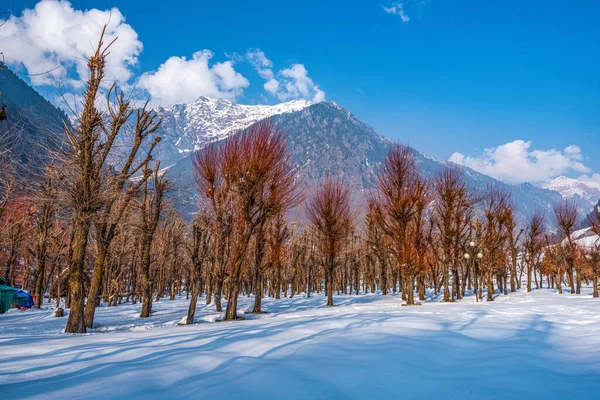 Вид Долину Бетаба Зимовий Сезон Поблизу Пахалгама Кашмір Індія — стокове фото