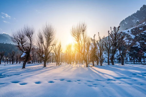 View Betab Valley Winter Season Pahalgam Kashmir India — Stock Photo, Image