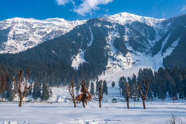 Uitzicht Betab Valley Winter Seizoen Buurt Pahalgam Kasjmir India — Stockfoto