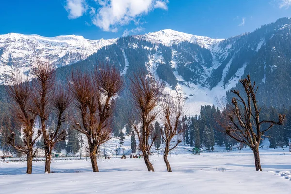 Utsikt Över Betab Valley Vintersäsongen Nära Pahalgam Kashmir Indien — Stockfoto