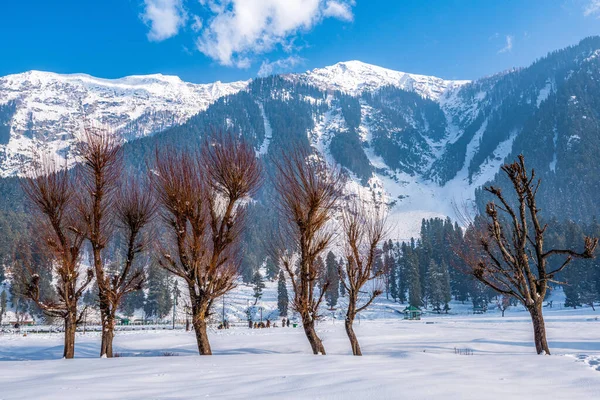 Вид Долину Бетаб Зимний Сезон Недалеко Пахалгама Кашмир Индия — стоковое фото