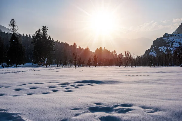 View Betab Valley Winter Season Pahalgam Kashmir India — Stock Photo, Image