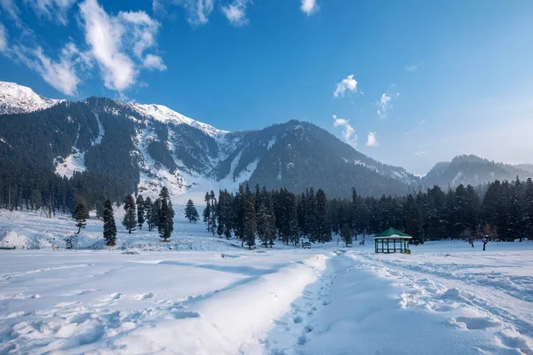 Vista Del Valle Betab Temporada Invierno Cerca Pahalgam Cachemira India — Foto de Stock