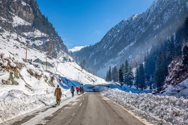 Bela Vista Sonmarg Inverno Neve Cobriu Montanhas Himalaia Com Pinheiros Imagens Royalty-Free