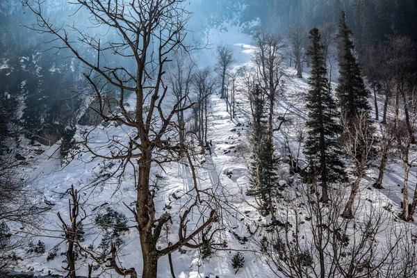 冬のソンマルグの美しい景色 雪はヒマラヤ山脈を松や川 カシミールで覆いました ストック画像