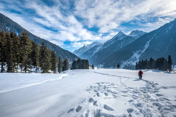 Vinterscenen Aru Valley Nära Pahalgam Kashmir Indien Stockbild