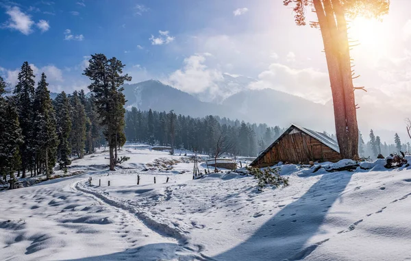 Hermosa Vista Del Valle Pahalgam Pahalgam Cachemira India Fotos de stock libres de derechos