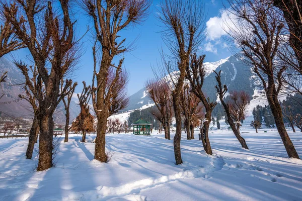 Vista Del Valle Betab Temporada Invierno Cerca Pahalgam Cachemira India Fotos De Stock