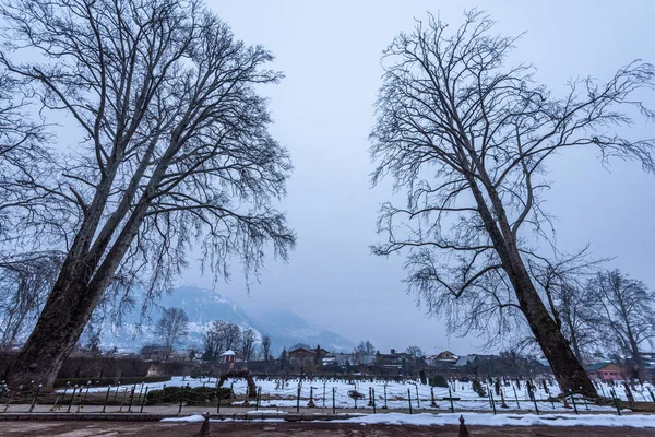 冬の間のシャリマール ムガル庭園の雪に覆われた景色 スリナガル カシミール インド ロイヤリティフリーのストック写真