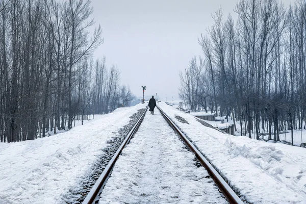 Snow covered Banihal  Baramulla train track after receiving seasons heavy snowfall, Kashmir, India