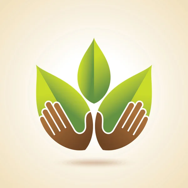 Hands with green leaves — Stock Vector