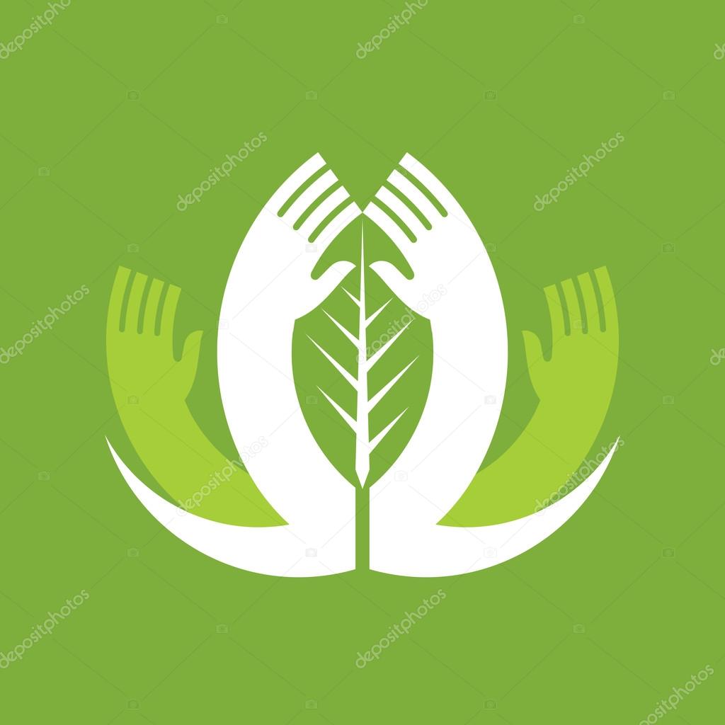 Hand with green leaves