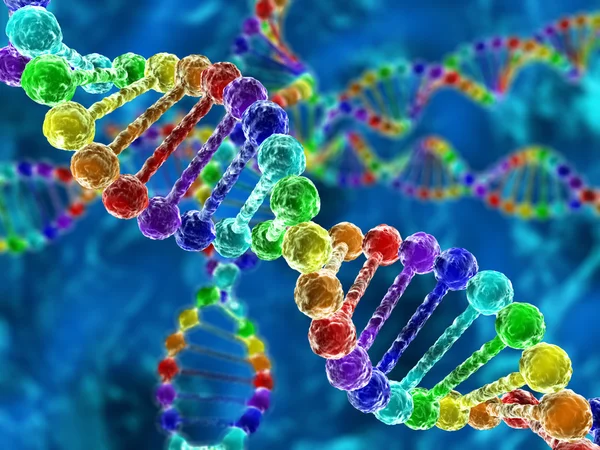 ADN del arco iris (ácido desoxirribonucleico) con desenfoque en el fondo Fotos de stock libres de derechos