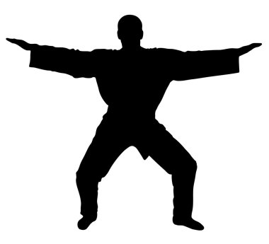 Samurai master - siluet