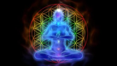 Yoga ve meditasyon, hayatın sembolü çiçek