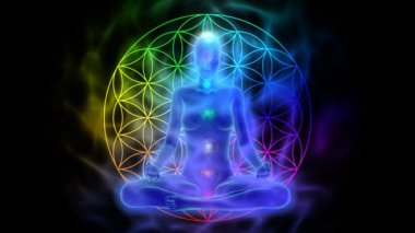 Meditasyon - aura, çakralar, hayatın sembolü çiçek