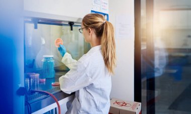 Kadın laboratuvar teknisyeni, biyo-sosyal bir dolabın içinde bir petri kabında numune tutuyor.