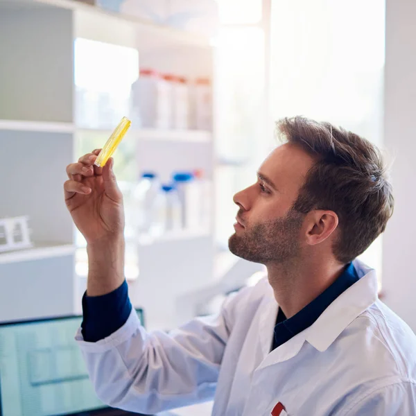 Male lab technician holding up a sample in a petri dish while working in a lab